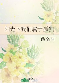 阳光下我们属于孤独